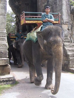 Riding Elephants Angkor Wat
