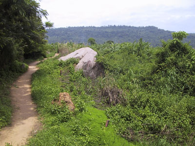 Jungle Hike Angkor Wat