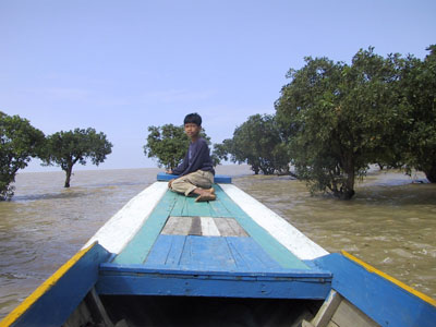 Submerged Trees Angkor Wat