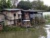 Palace Shacks