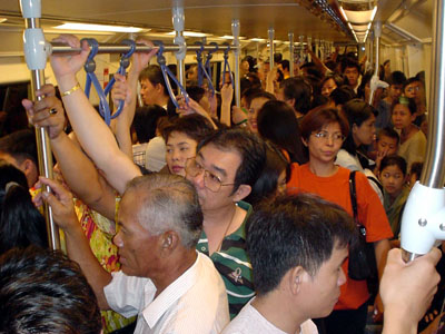 Sardines Transportation