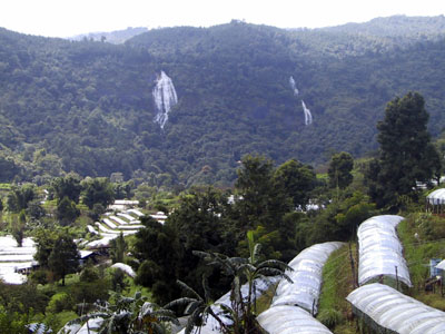 Siriphumn Chiang Mai