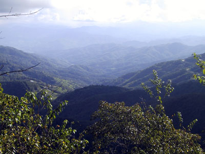 Doi Tung Chiang Rai