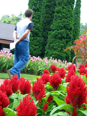 Garden Walk Chiang Rai
