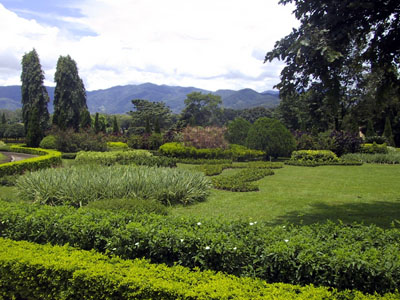 Gardens Chiang Rai