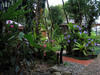Villa Garden