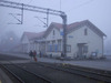 Fog Train thumbnail