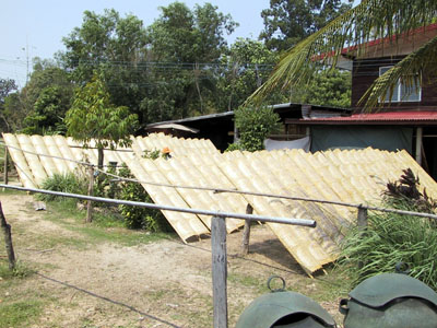 Rice Paper Nong Khai