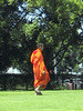 Walking Novice thumbnail