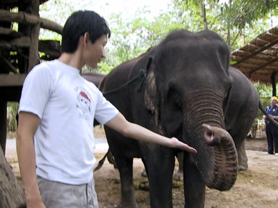 Feed Me Kanchanaburi
