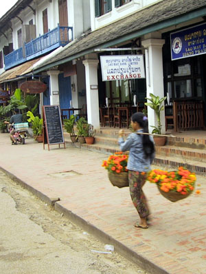 Flower Girl Luang Prabang