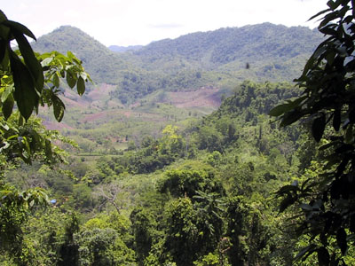 Jungle View Luang Prabang