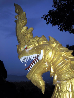 Hungry Naga Luang Prabang