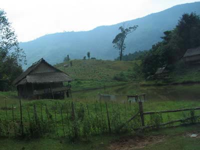Pond Shack Laos