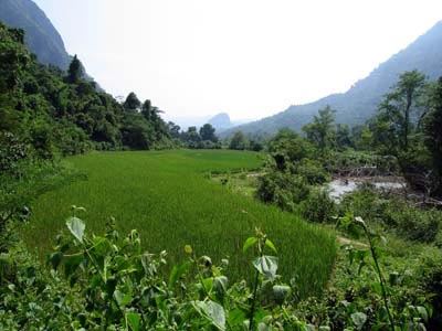 Rice Valley Laos
