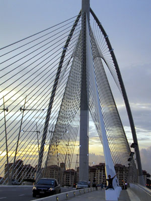 Seri Wawasan Malaysia