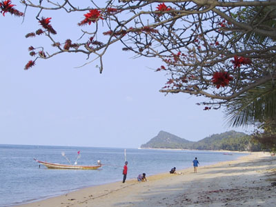 Beach Ko Samui