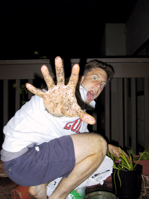 gardening United States