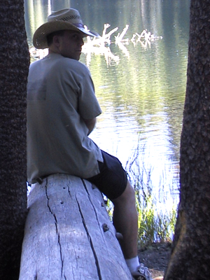 on a log United States