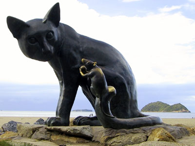 Cat and Mouse Southern Thailand