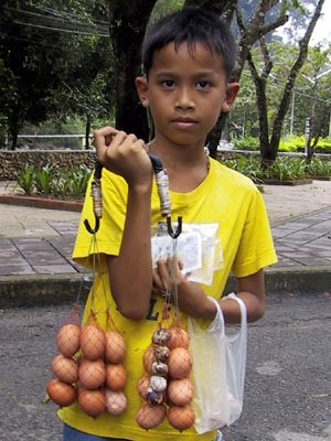 Egg Boy Southern Thailand