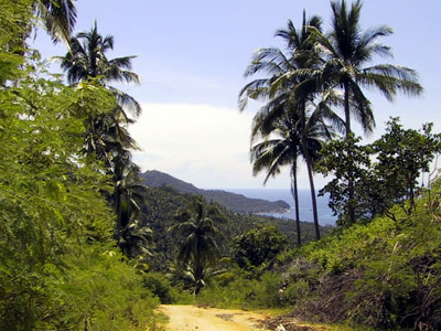 Ko Tao Southern Thailand